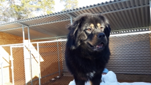 ������: ����� ����������� ������ ��������, ��� � ��� 7 ������� !)